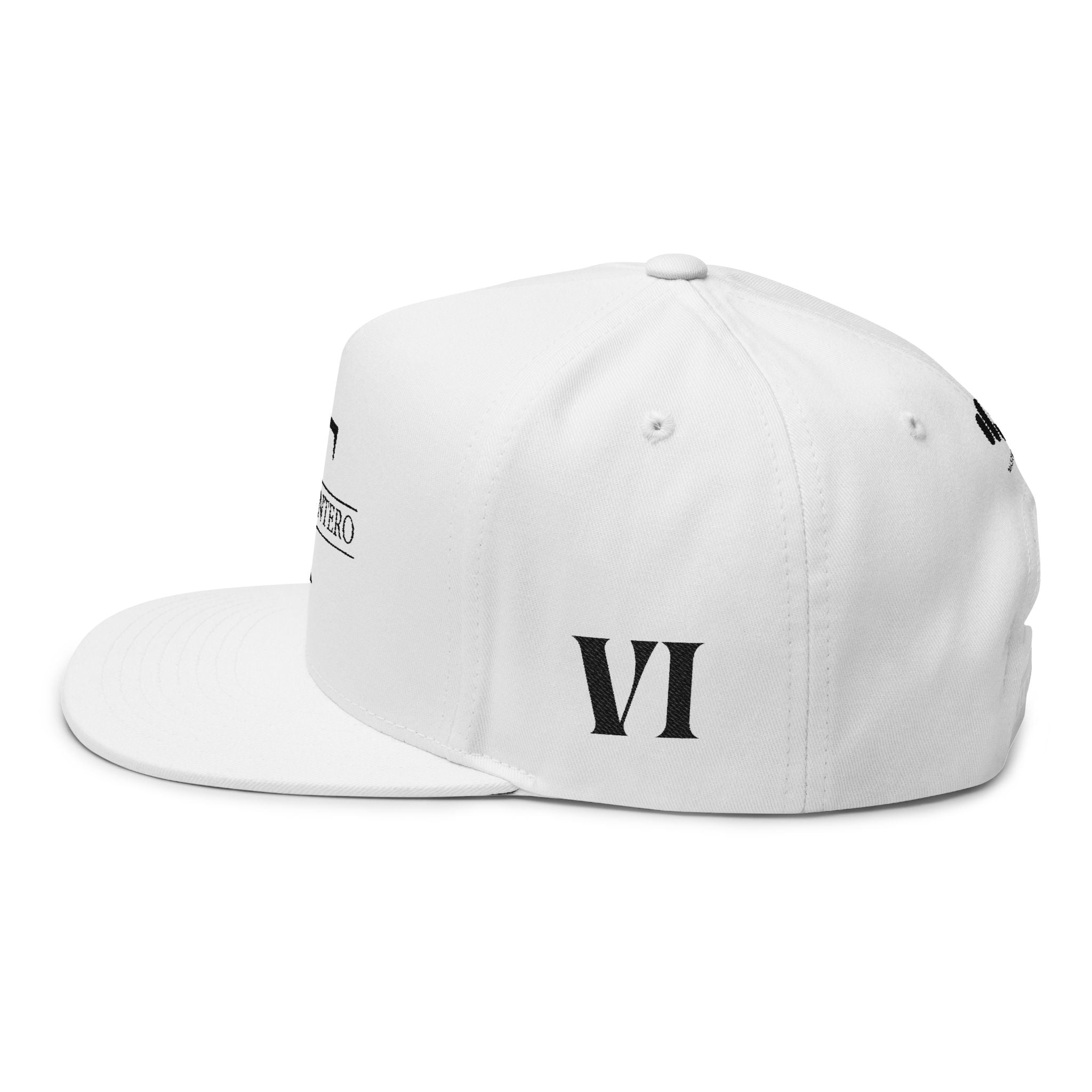 VI: VXM Cap (White)