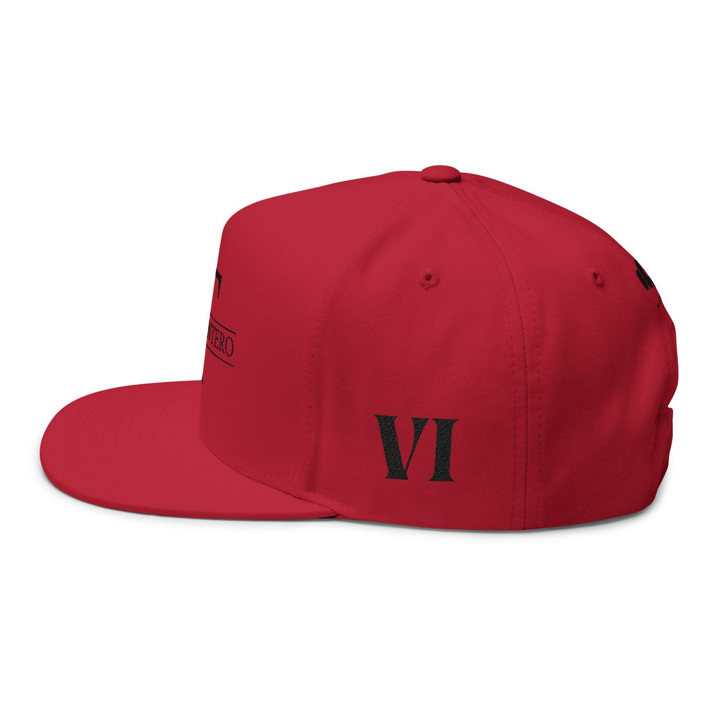 VI: VXM Cap (Red)