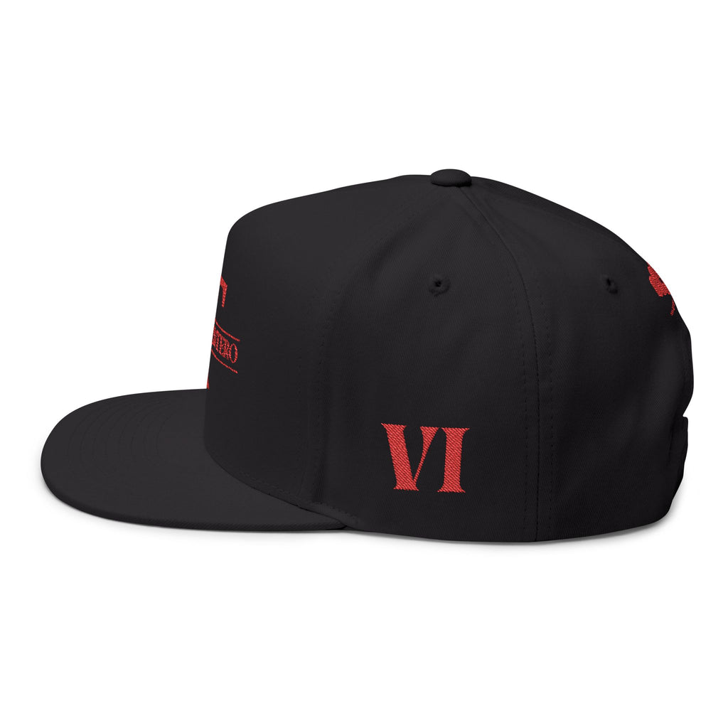 VI: VXM Cap (Black)